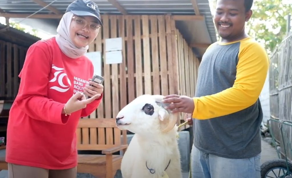 aqliyah farm