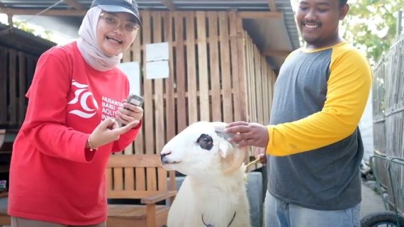 Aqliyah Farm: Breeding Kambing Berkualitas dengan Harmoni Alam dan Kesadaran Pemeliharaan